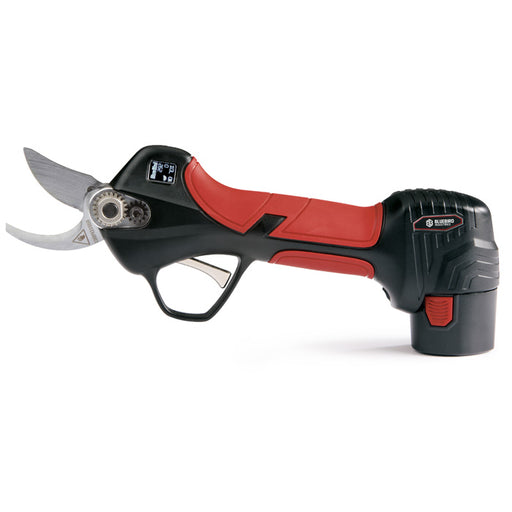 bluebird-forbici-ps-22-23-twin-lame-inox