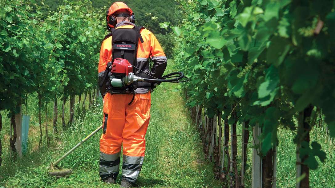 Decespugliatore Honda UMR 435 LE