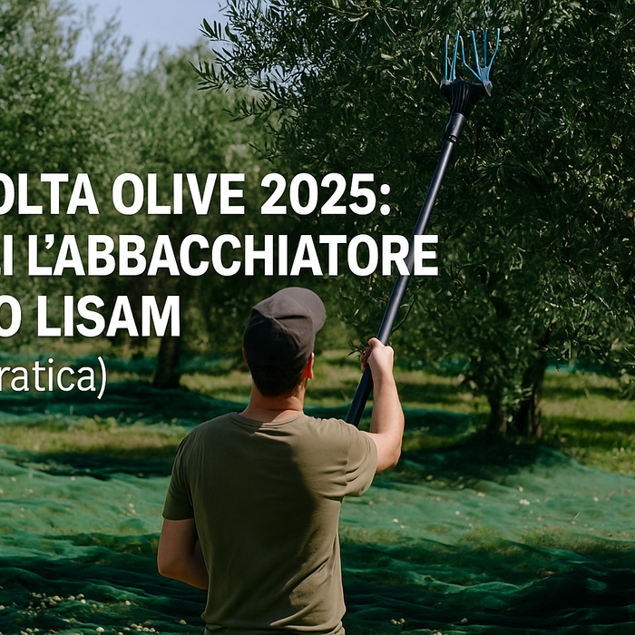 Raccolta Olive 2025: scegli l’abbacchiatore LISAM giusto per il tuo uliveto
