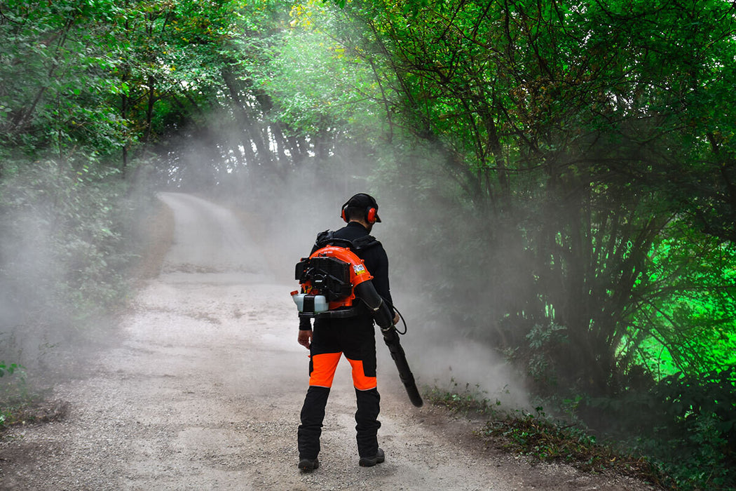 Soffiatore a zaino ECHO PB-580